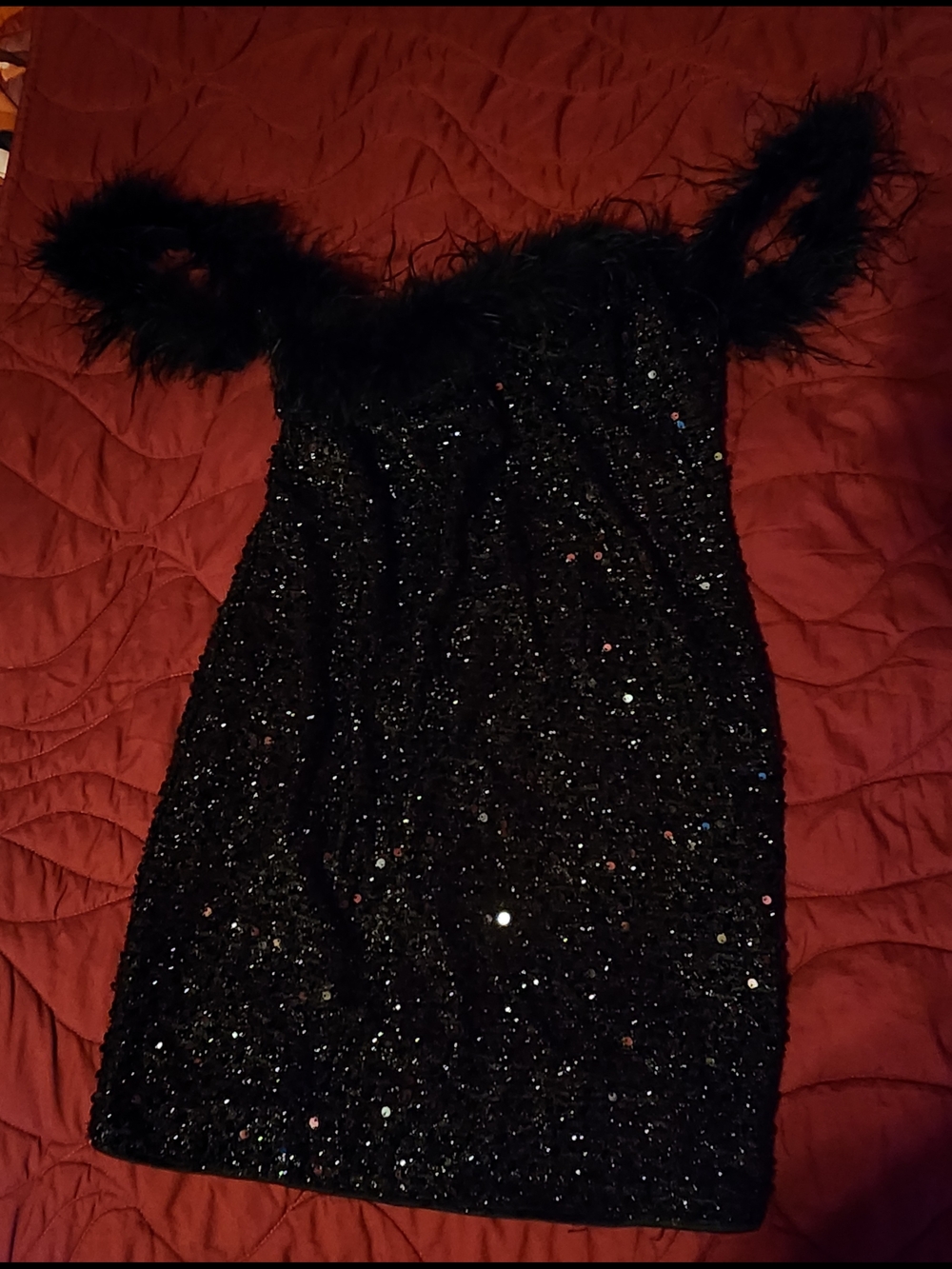 Black Sequin Mini Dress with Feather Trim